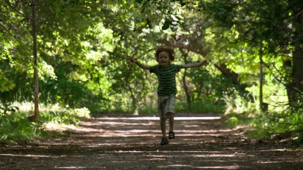 Хлопчик біжить до затіненої алеї — стокове відео
