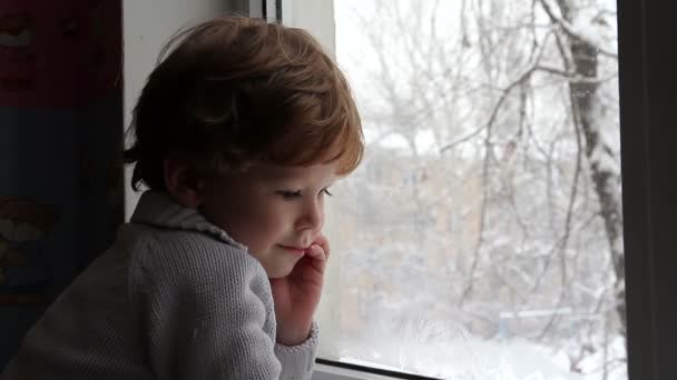 Mignon garçon près de la fenêtre — Video