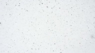 snowflakes Falling from Sky