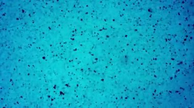 Parçacıkların rasgele hareket