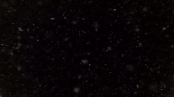 Chaotique chute de flocons de neige 