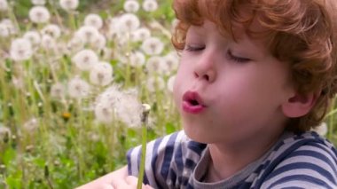 Dandelions tarafından çevrili çocuk