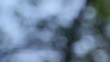 Suya düşen yağmur damlaları