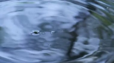 Suya düşen yağmur damlaları