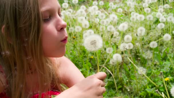 Ragazza circondata da denti di leone — Video Stock