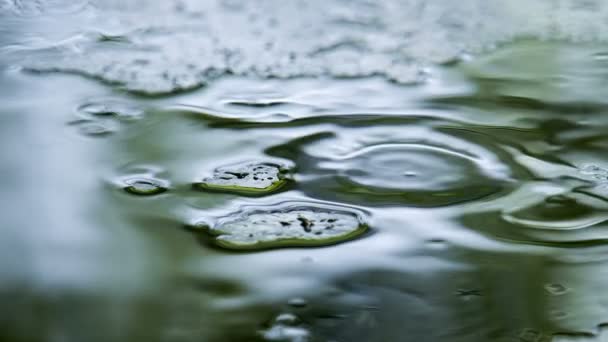 Krople deszczu wpadające do wody — Wideo stockowe