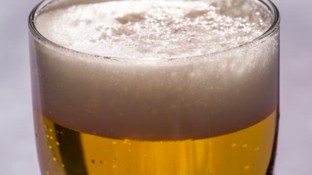 Bolle e Schiuma in Bicchiere di Birra — Video Stock