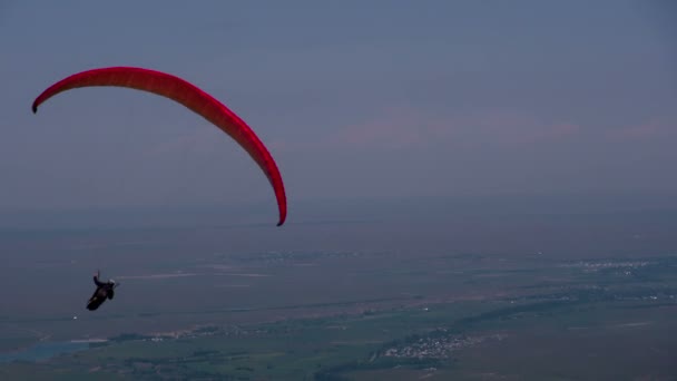 Paraglider flyter i luften — Stockvideo