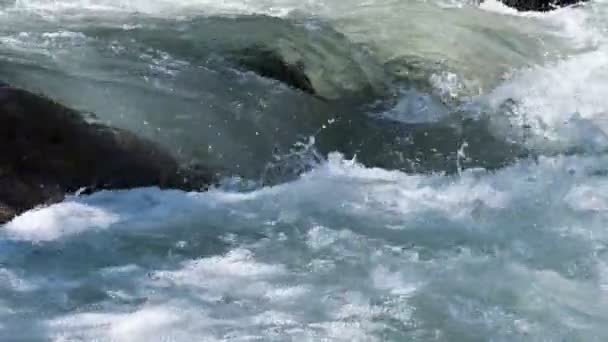 澄んだ水の野生 — ストック動画