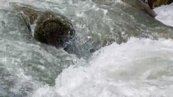 Wildness of clear water — Stock Video