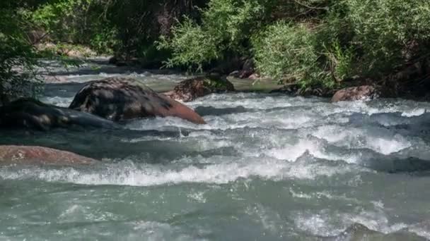 Wildheit des klaren Wassers — Stockvideo