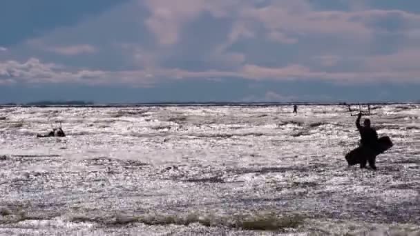Kiteboarding enthusiasts riding on waves — Stock Video