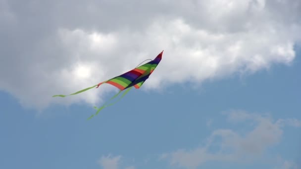 Kleurrijke regenboog kite — Stockvideo