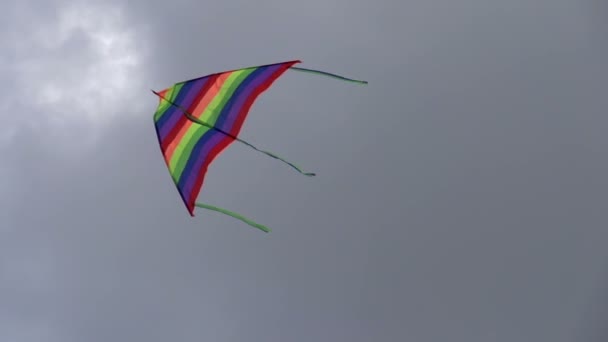 Kleurrijke regenboog kite — Stockvideo