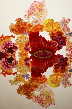 Haruka Kogin Sao Paulo sanatçıdan sanat yükleme