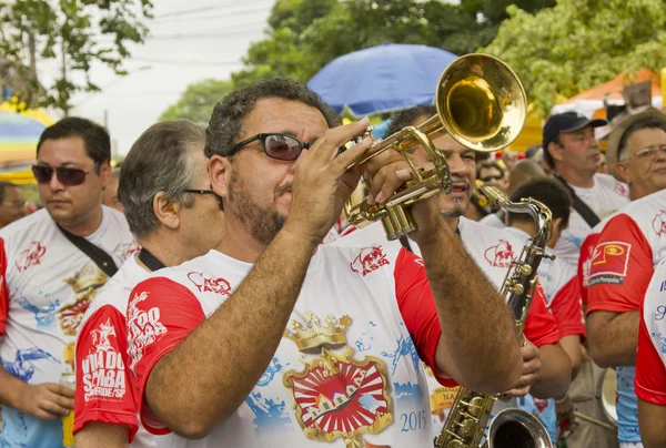 Brazylijskie karnawałowe parady uliczne w Sao Paulo — Zdjęcie stockowe