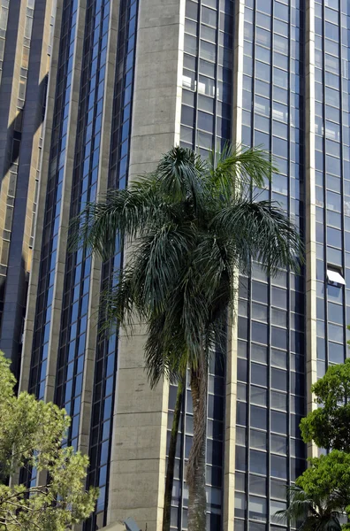 Modern building with glass facade — Stock Photo, Image