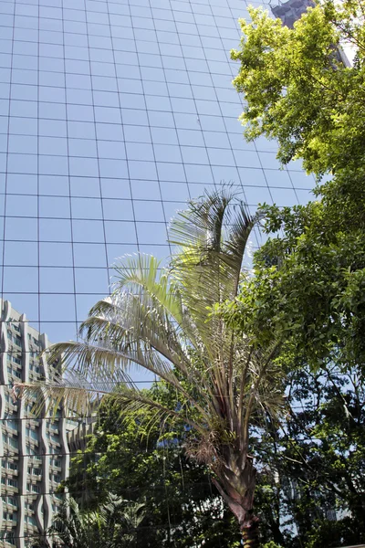 Modern building with glass facade — Stock Photo, Image