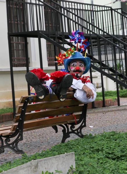 Funny clown with typical costumes — Stock Photo, Image