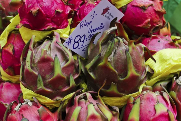 Egzotyczne owoce pitaya — Zdjęcie stockowe