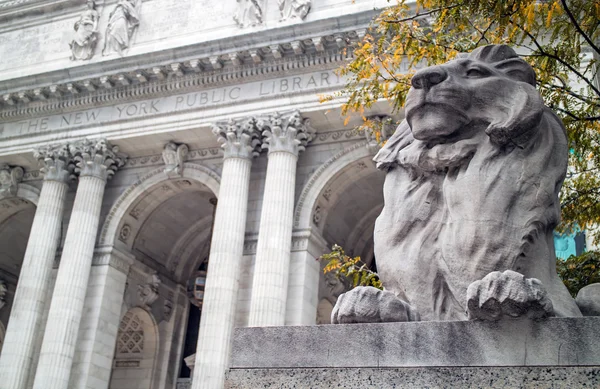 Statua del leone Biblioteca pubblica di New York Immagine Stock