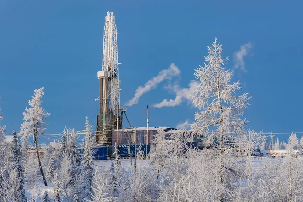 Kuzey petrol ve gaz sahasında sondaj kulesi olan bir tayga ormanının kış manzarası. Etraftaki her şey beyaz karla kaplı. Mavi gökyüzü. Kuzey Kutbu 'nda soğuk kutup günü