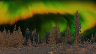 Kutup gecesi. Kuzey ışıklarının arkasında karla kaplı ağaçlarla kaplı bir kış ormanı. Güzel gece kutup gökyüzü