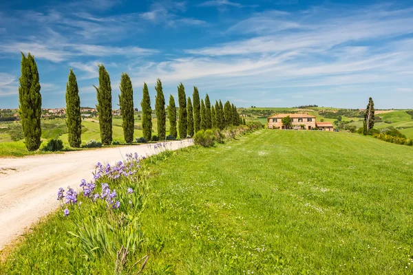 Toscana na primavera — Fotografia de Stock