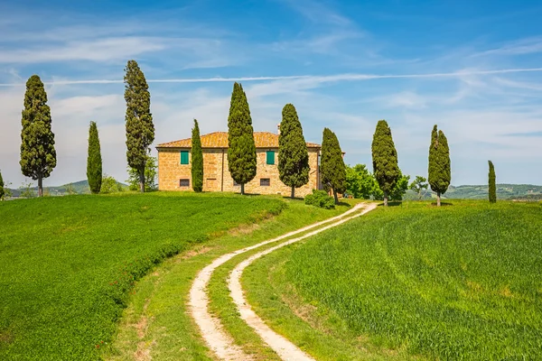 Toscana vårlandskap — Stockfoto