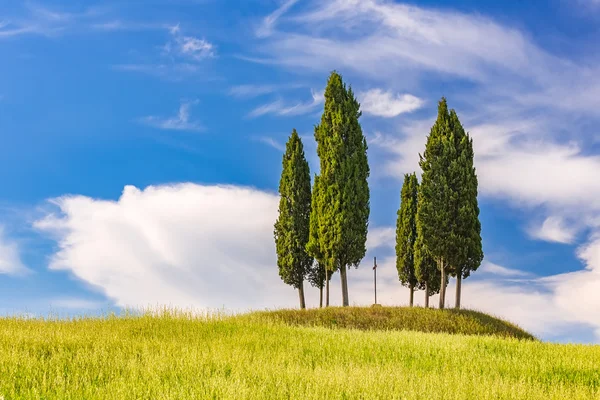 Tuscany landscape at spring — Stock Photo, Image