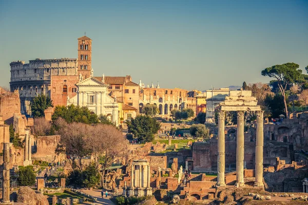 Forum romanum au coucher du soleil — Photo