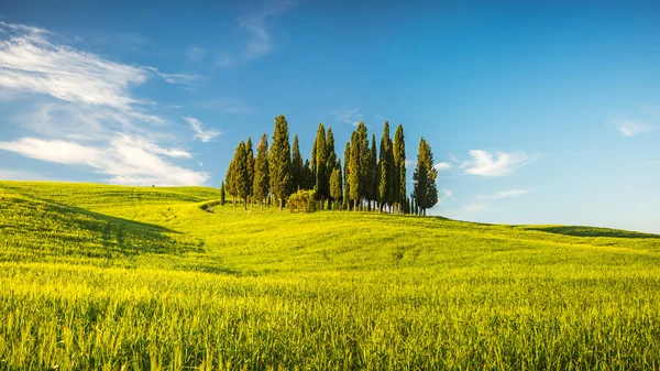 Toskana im Frühling — Stockfoto