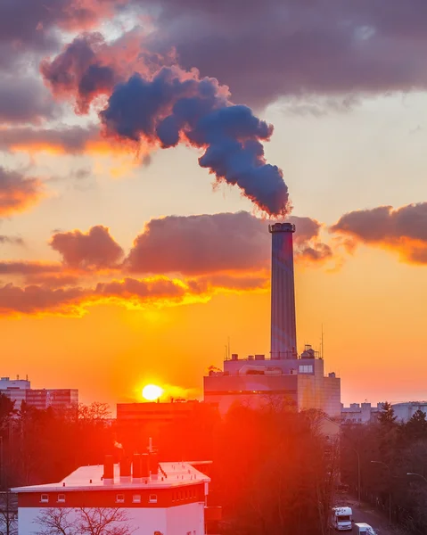 Smoking pipe at sunset Stock Picture