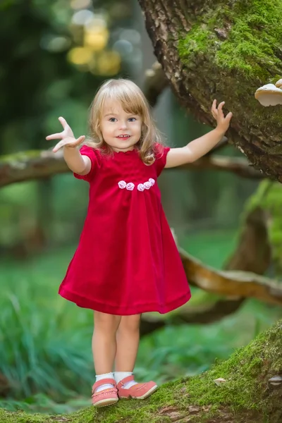 Petite fille dans la forêt — Photo