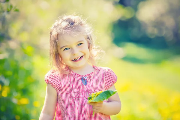 Glad lille pige i foråret solrige park - Stock-foto