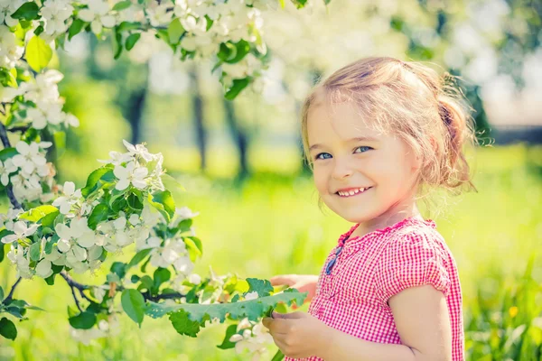 Šťastná holčička v zahradě jabloně — Stock fotografie