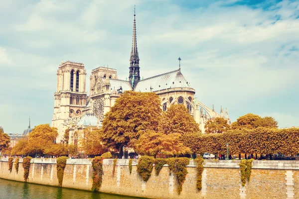 Notre Dame Katedrali'nde sonbahar — Stok fotoğraf