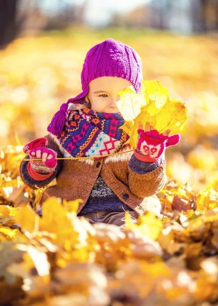 Sonbahar yaprakları ile oynarken küçük kız — Stok fotoğraf