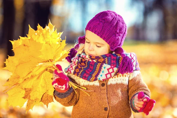 Little girl playing with autumn leaves — Stock Photo, Image