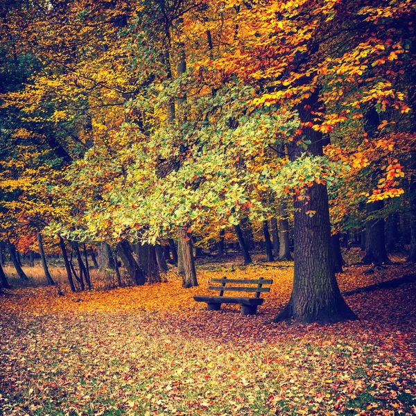 Bänk i höstparken — Stockfoto