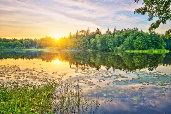 Nascer do sol em um lago Imagens Royalty-Free