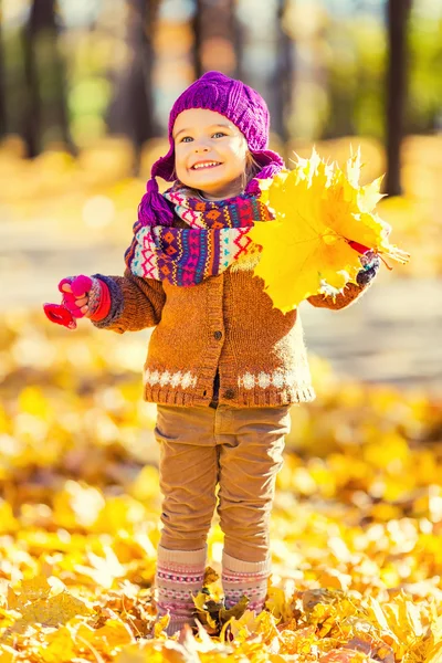 Little girl playing with autumn leaves — Stock Photo, Image