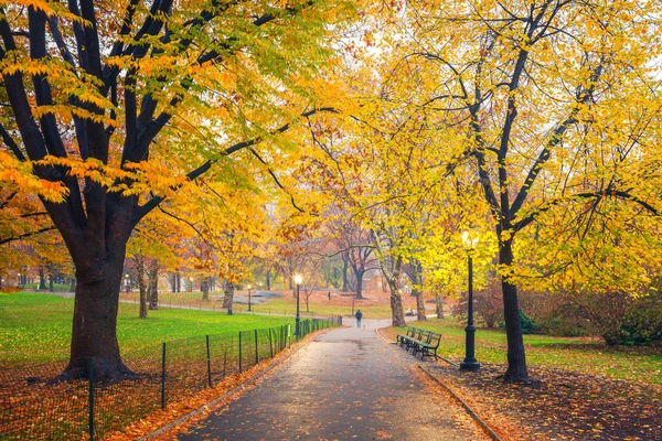 NY Central park op mistige ochtend — Stockfoto
