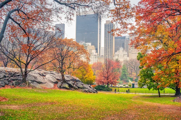 New Yorker Central Park bei Regentag — Stockfoto