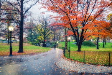 NY Central park at rainy day clipart