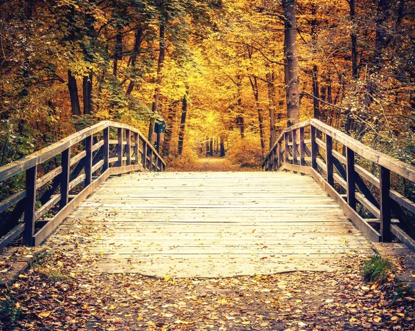 在秋天的森林中桥 — 图库照片
