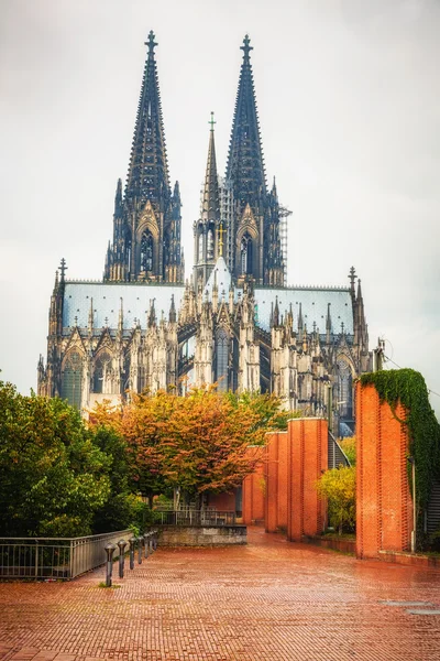 Kölnerdomen, Tyskland — Stockfoto