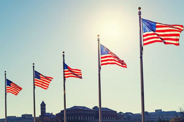 Drapeaux des États-Unis — Photo