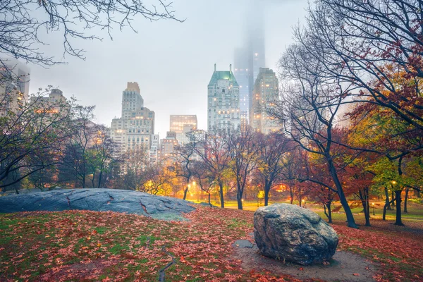 Центральный парк Нью-Йорка в дождливое утро — стоковое фото