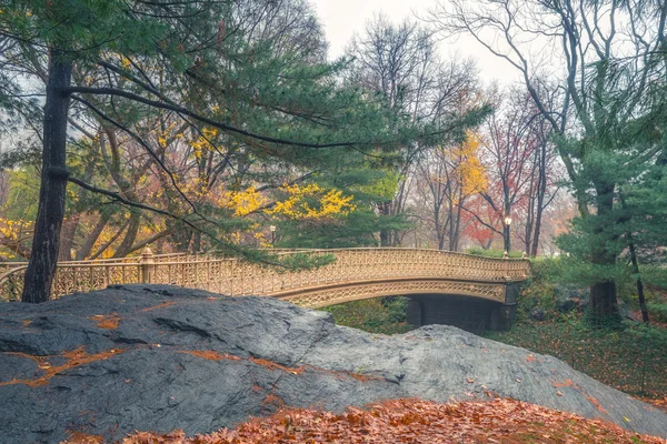 NY Central park at rainy day — Stock Photo, Image